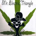 Mr. Electric Triangle - Is The 'erb Dope - 2 Kool - Trip Hop