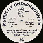 Sonic Experience - Protien (Special Mixes) - Strictly Underground Records - Hardcore