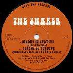 Shaker, The - Strong To Survive - Ugly Bug Records - House