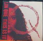 Lin Que - This Is It / Rip It Up - Ruffhouse Records - Hip Hop