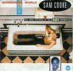 Sam Cooke - Wonderful World - RCA - R & B