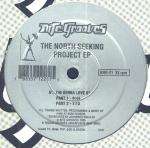 North Seeking Project, The - The North Seeking Project EP - Nite Grooves - US House