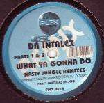Da Intalex - What Ya Gonna Do (Nasty Jungle Remixes) - Flex Records - Jungle
