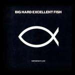 Big Hard Excellent Fish - Imperfect List - One Little Indian - Ambient 