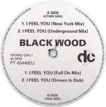 Blackwood - I Feel You - Deconstruction - Euro House
