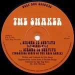The Shaker - Strong To Survive - Ugly Bug Records - House
