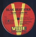 Blak Beat Niks - Now I Know / He's The Man - Vibe Music - US House