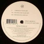 Sarah McLeod - He Doesn't Love You - Renaissance - Progressive