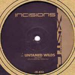 Incisions - Untamed Wilds - Jinx Records - Progressive