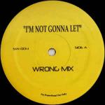 Scott Wozniak - I'm Not Gonna Let - Not On Label - Tech House
