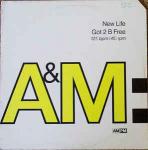 New Life - Got 2 B Free - A&M PM - UK House