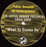 Artful Dodger & Craig David - What Ya Gonna Do - Public Demand - UK Garage