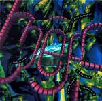 British Electric Foundation & Lalah Hathaway - Family Affair - 10 Records - R & B