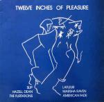 Various - Twelve Inches Of Pleasure - Proto  - Disco