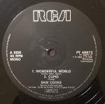 Sam Cooke - Wonderful World - RCA - Soul & Funk
