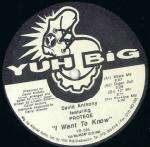 David Anthony - I Want To Know - Yuh Big - US House