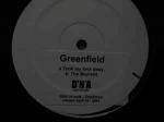 Greenfield - Took My Love Away / The Moment - D'N'A - Hard House
