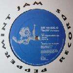 BMR & Level 42 - Starchild The Remixes - Peppermint Jam - Euro House