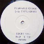 Sunset Sky - Back To The Future - Flammable Records UK - Progressive