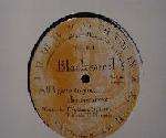 Blackwood - All I Gave To You (The Remixes) - Timeless Records - House