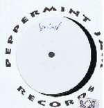 Cunnie Williams - Spirit - Peppermint Jam - US House