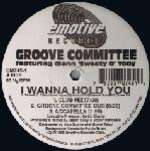 Groove Committee & Glenn  - I Wanna Hold You - Emotive Records - US House