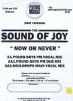 Sound Of Joy - Now Or Never - Purple Music - US House