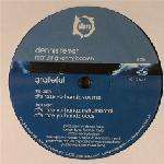 Dennis Ferrer & Kenny Bobien - Grateful - Sfere - Deep House