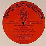 Scott Wozniak - Talk To Me - Space Kat Records - Deep House