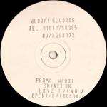 Skynet UK - Love Thing / Open The Floodgates - Whoop! Records - Progressive
